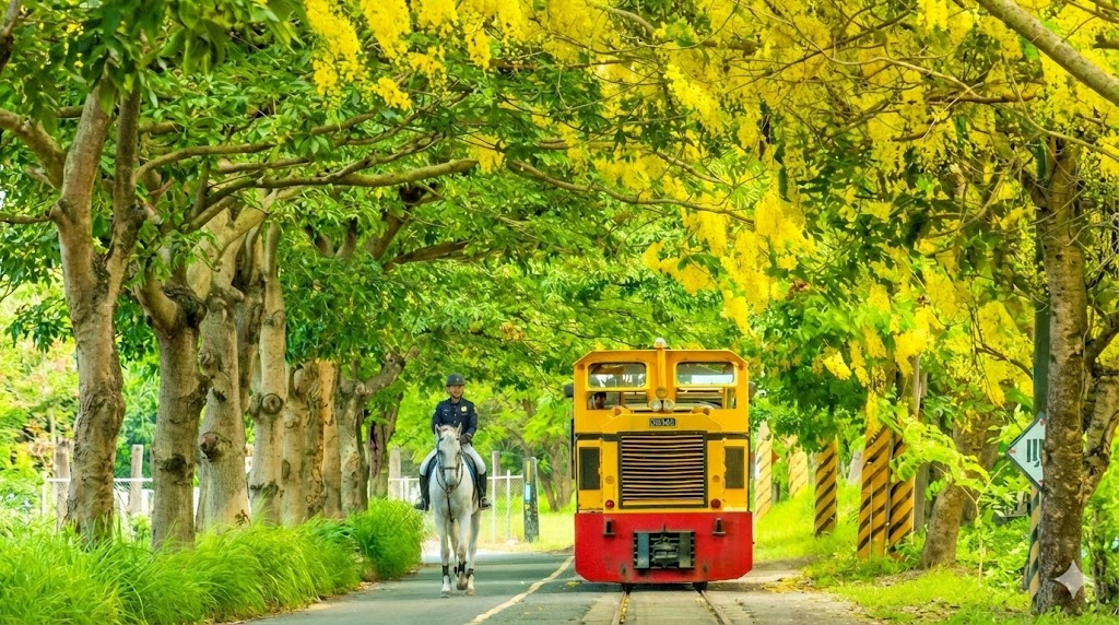 The Battle to Save the Ciaotou Sugar Factory Urban Forest