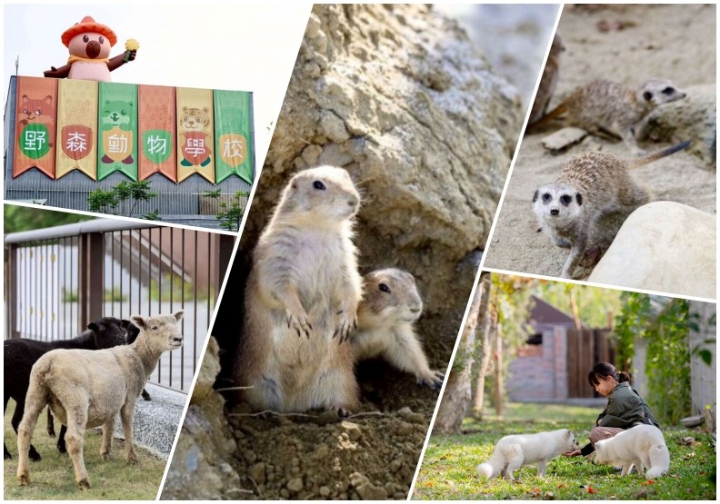 Kaohsiung’s Neimen Opens “Animal School” Trial Run: A Reservation-Only, 11.5-Hectare Experience