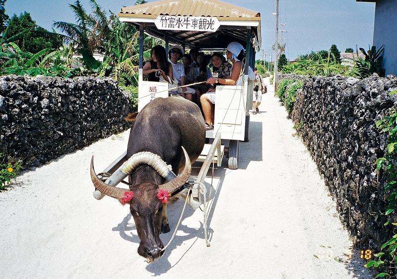 New “snack” Formosa Files episode: Keelung to Ishigaki Ferry