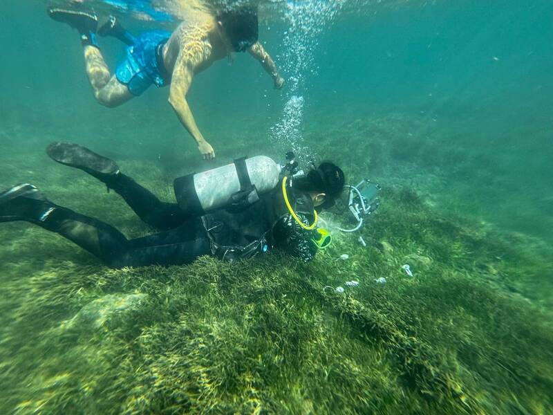 Kaohsiung research sheds light on seagrass carbon storage