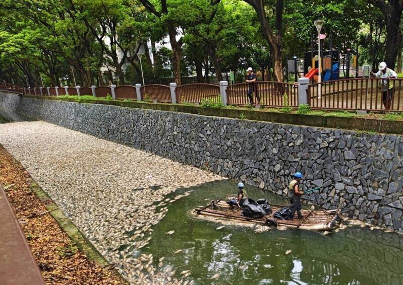 4,800 kg of dead fish removed from Houjin Creek