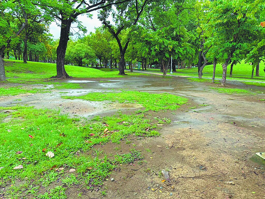 Central Park dust and drainage problems draw complaints