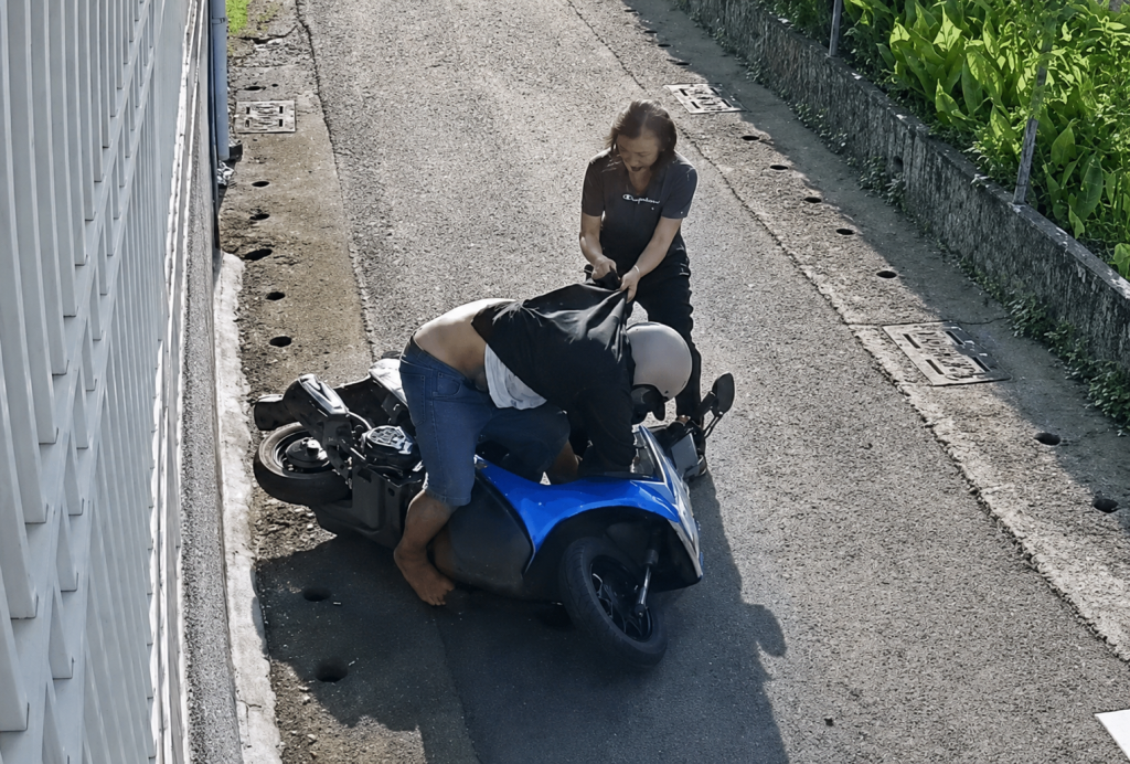 Pingtung pensioner pummels purse thief