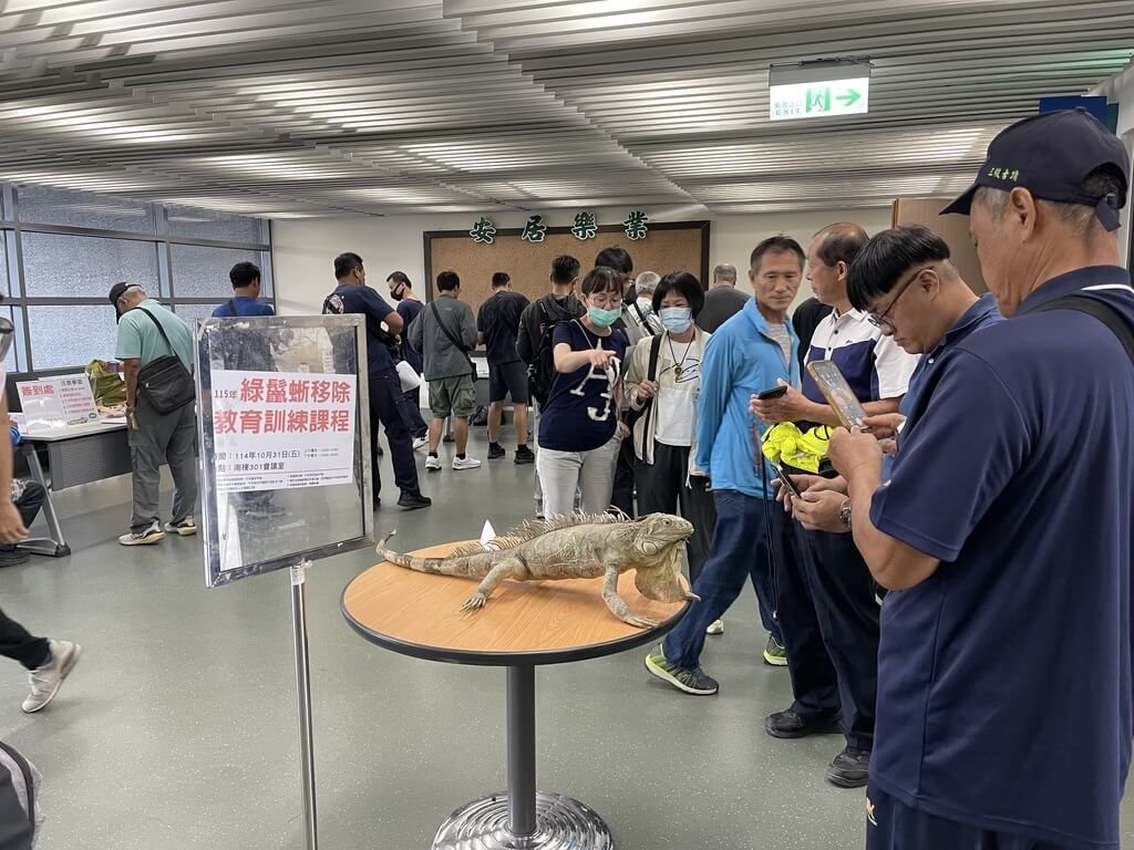 Pingtung to train up to 750 residents as green iguana bounty hunters