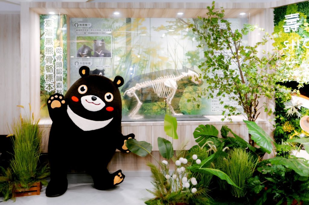 Shoushan Zoo unveils black bear skeleton at renovated education center